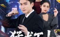 《猛龙下山（75集）》爆款短剧免费高清观看