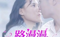 《路漫漫其修远兮（20集）》高清短剧完整版在线