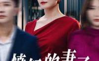 《愤怒的妻子（30集）》短剧一次性看过瘾