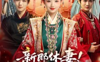 《新郎休妻摄政王十里红妆求娶（51集）》高分短剧免费全集速览