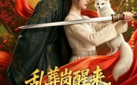 《乱葬岗醒来，我扛着AK嫁王爷（70集）》热门短剧全集免费畅享