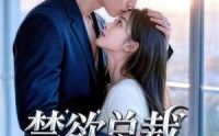 《禁欲总裁的小哭包（39集）》短剧全集资源免费获取
