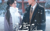 《爱意随初雪降临（66集）》短剧完整版免费在线看
