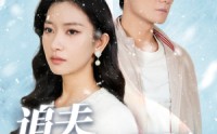 《追夫火葬场（31集）》情感短剧全集尽情看