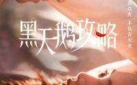 《黑天鹅攻略（65集）》超火短剧在线免费看