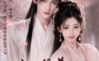 《小公爷道，老子可是何美丽的男人3（116集）》热门短剧完整版在线赏