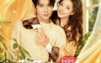 《栽在你手上（8集全）》独家短剧完整呈现