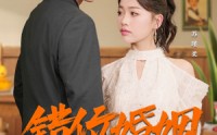 《错位婚姻（50集）》短剧全集一次性看完