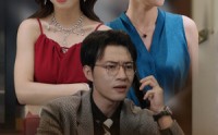 《房不胜房（31集）》免费短剧全集在线连播