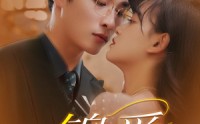 《锦爱（100集）》短剧免费无广告100集全观看