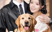 《驭兽师直播听动物心声吃瓜破案（73集）》优质短剧无广告畅快看