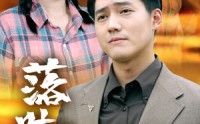 《落叶不归根（54集）》短剧高清画质在线欣赏