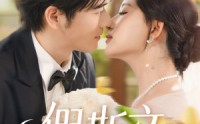 《假斯文（80集）》短剧免费高清全集观赏