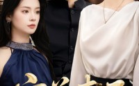 《完美妻子（40集）》高分短剧在线高清观看