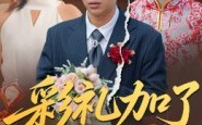 《彩礼加了8万8（54集）》精彩短剧完整免费播放