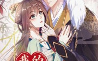 《我的城主丈夫第1季（80集）》爆款短剧全集免费在线赏