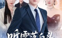 《听雪落白头（63集）》经典短剧在线高清观看
