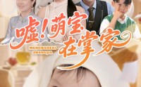 《嘘！萌宝在掌家（45集）》优质短剧一键在线观看