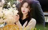 《季社长的小蔷薇绽放了（60集）》高清短剧全集在线畅看