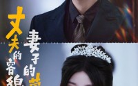 《丈夫的容貌妻子的荣耀（60集）》优选短剧高清播放