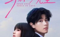 《野林向晚星（66集）》免费短剧全集高清观看
