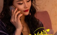 《我和老板娘与凤同行》（75集）全集短剧一网打尽