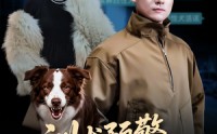 《训犬预警谁才是主人（55集）》高分短剧在线高清看