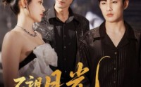 《不望月光不望你（75集）》精彩短剧全集免费速览
