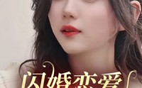 《闪婚恋爱进行时（77集）》超甜短剧免费全集速览