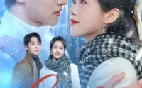 《闪婚成宠（95集）》剧情短剧一气呵成