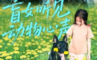《盲女听见动物心声（61集）》精彩短剧在线高清观看