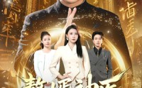 《赘婿神医不好惹（89集）》热播短剧免费全集速看