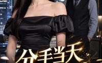 《分手当天我升总监（55集）》短剧全集在线免费追
