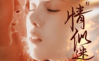 《情似迷雾（50集）》高清短剧全集畅享