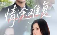 《情途难复（50集）》好看短剧在线完整播放