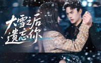 《大雪之后遗忘你（82集）》高分短剧免费在线追剧