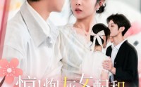《惊！炮灰女配和男二喜结连理了（91集）》超火短剧高清全集观看