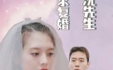 《离婚后沈先生天天求复婚（100集）》爆款短剧全集免费畅看