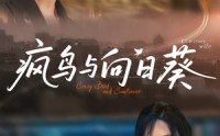 《疯鸟与向日葵（40集）》精彩短剧在线免费点播