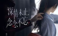 《深情未止，念念不忘（83集）》短剧全集免费在线畅享