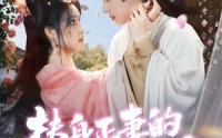 《替身正妻的计中计（77集）》短剧全集免费在线追剧
