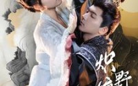 《炽野缠情（95集）》高清短剧全集在线畅享