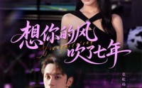 《想你的风吹了七年（82集）》爆款短剧在线完整观看