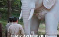 《我有一张藏宝图（101集）》免费短剧完整版追剧