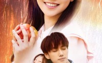 《玫瑰陷入火焰里（60集）》震撼短剧全集在线观看