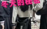 《冬天的秘密》（60集）情感短剧深度看