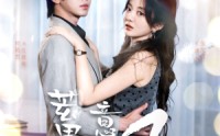 《蓄意逐风（95集）》独家短剧在线连看