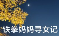 《铁拳妈妈寻女记（69集）》母爱短剧全集追踪