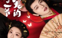 《侯府二爷超宠的（59集）》优质短剧免费在线追