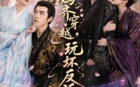 《我和老妈齐穿越，玩坏反派（40集）》热门短剧在线无广告